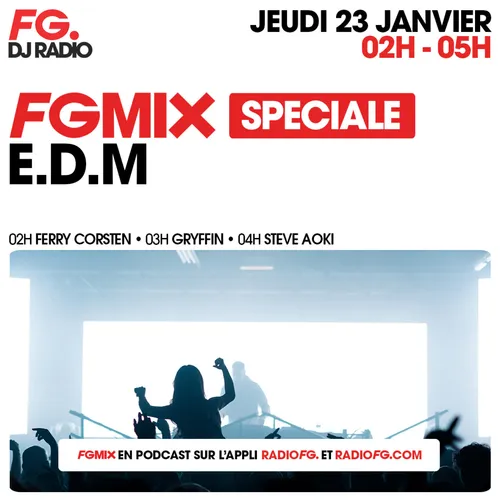 FG MIX SPÉCIAL E.D.M : STEVE AOKI