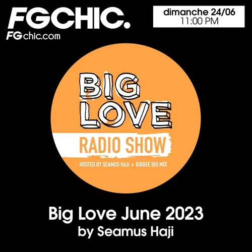 FG CHIC MIX BY SEAMUS HAJI