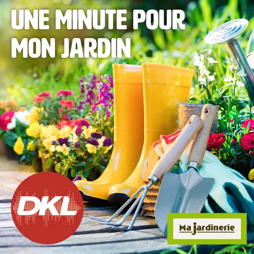 La préparation des bassins en hiver -29 12 2024