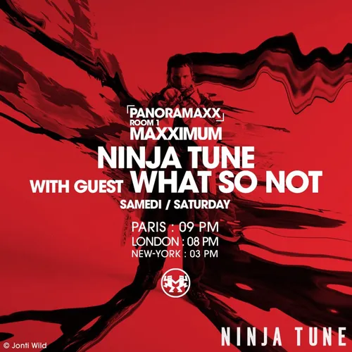 PANORAMAXX : WHAT SO NOT