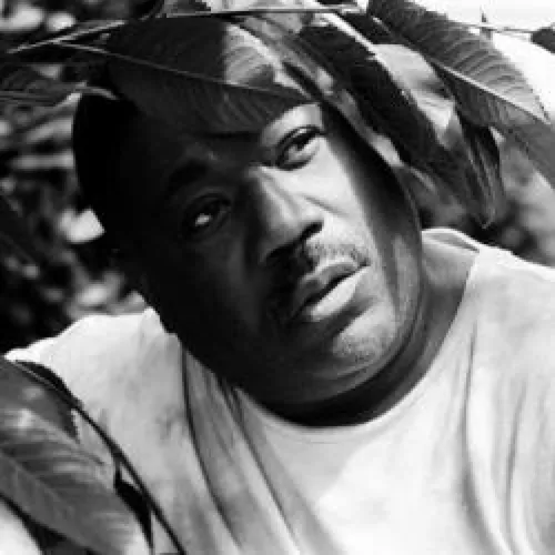 PANORAMAXX : CHEZ DAMIER