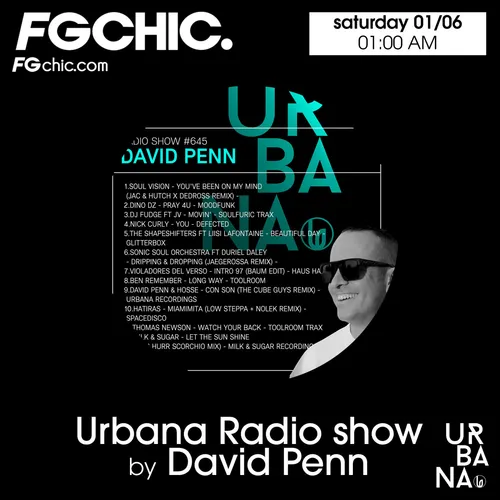 FG CHIC MIX URBANA BY DAVID PENN