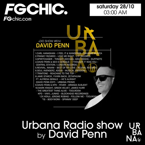 FG CHIC MIX BY DAVID PENN