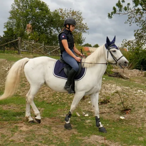 Clémence Bosserelle, championne de TREC #2