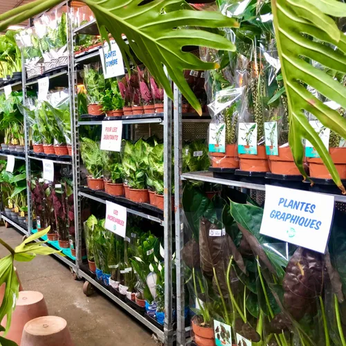 "Plantes pour tous" à Reims