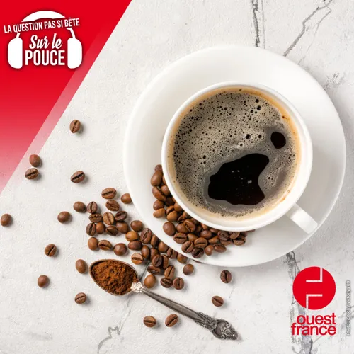 Comment fait-on du café décaféiné ?