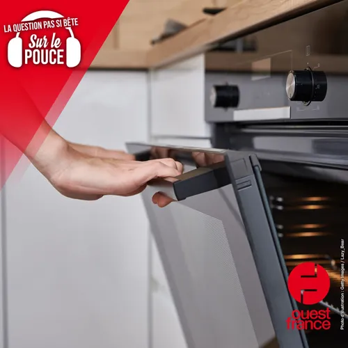 Au four, la chaleur tournante est-elle le mode de cuisson le plus...