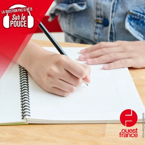 Pourquoi y a-t-il des marges dans les cahiers ?