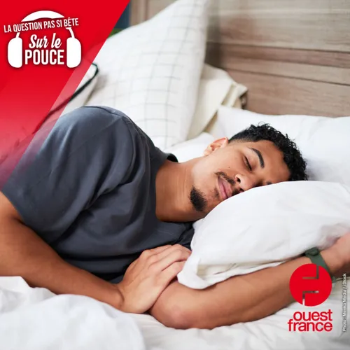 Depuis quand dort-on dans un lit ?
