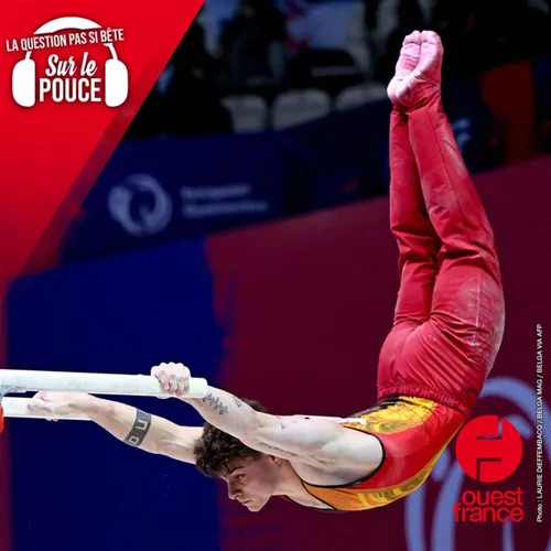 Pourquoi les gymnastes sont-ils férus de miel ?