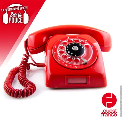 Comment les pays ont-ils obtenu leurs indicatifs téléphoniques ?