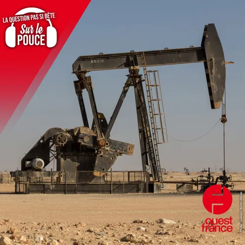 Pourquoi y a-t-il tant de pétrole au Moyen-Orient ?