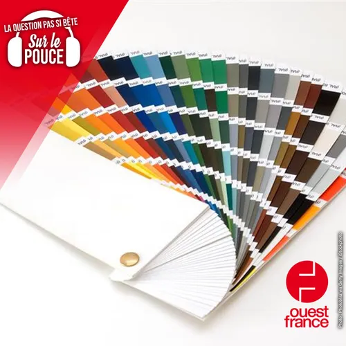 Quelle est la couleur la plus moche du monde ?