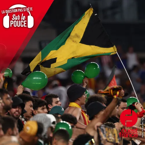 Pourquoi le drapeau de la Jamaïque est-il si unique ?