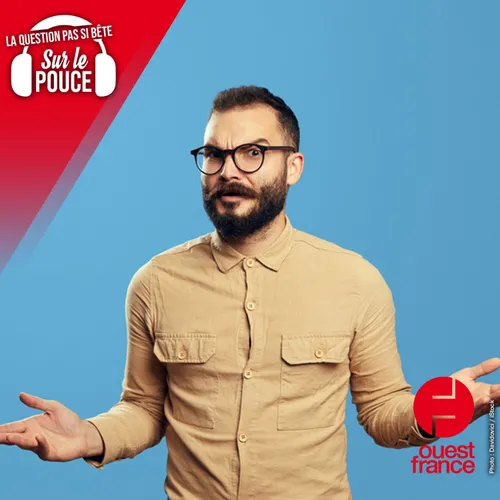 D'où vient l'expression « une réponse de Normand » ?