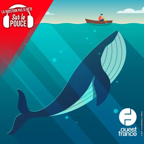 Une baleine peut-elle avaler un être humain ?