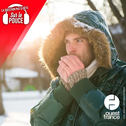Pourquoi a-t-on plus souvent envie d'uriner quand il fait froid ?