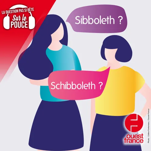 HIT WEST