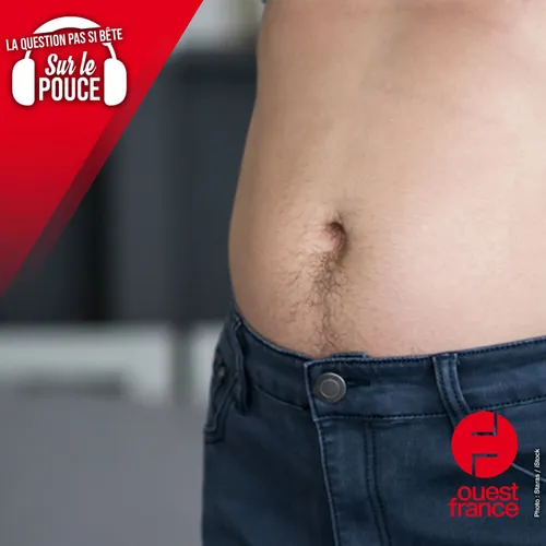 Pourquoi les hommes ont-ils une peluche de laine cachée dans leur...
