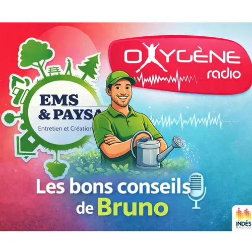 Qui suis-je ?