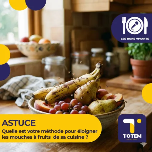 ASTUCE - Quelle est votre méthode pour éloigner les mouches à...