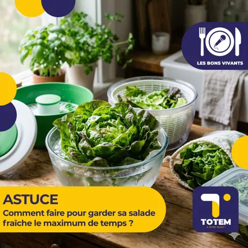 ASTUCE - Comment faire pour garder sa salade fraîche le maximum de...