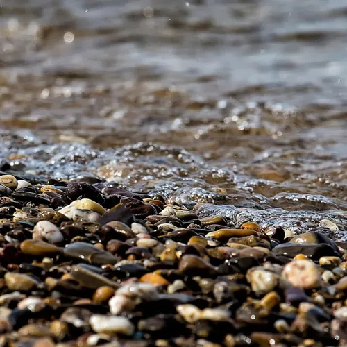 Pourquoi y a-t-il des plages de sable et des plages de galets ?