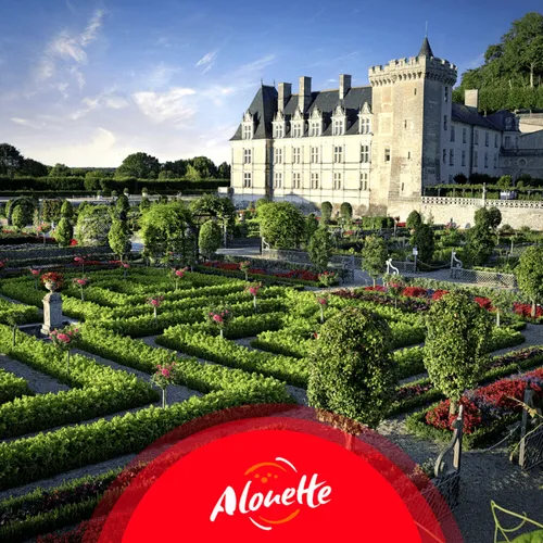 Découvrez Villandry et ses somptueux jardins