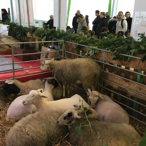 Une journée 100% Côte d’Or sur le salon de l’agriculture