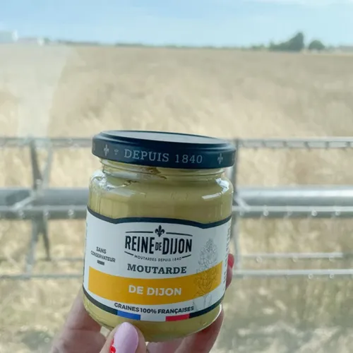 La récolte de graines de moutarde a commencé