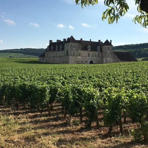 Pour quelles raisons vient-on s’installer en Côte d’Or ?