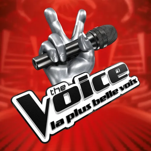 Le casting The Voice et The Voice Kids a lieu ce mercredi 2 mai à...