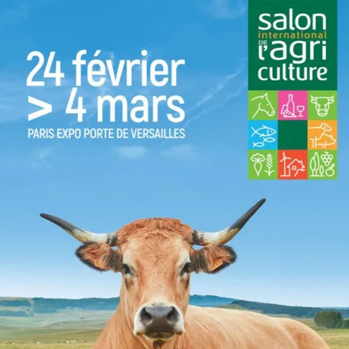 Une vache laitière côte d'orienne gagne 2 concours au salon de...