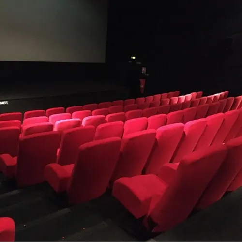 Un échange avec le réalisateur Xavier de Lauzanne ce lundi au ciné...