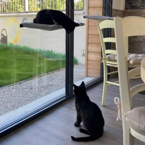 "Le bar à papattes" à Châlons