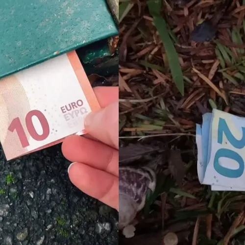 Des billets cachés dans Épernay