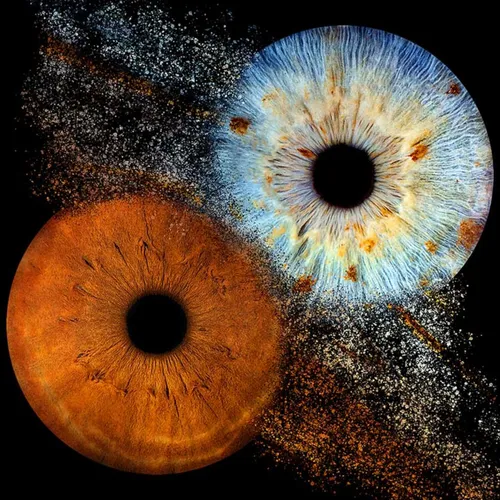 Iris Galerie : votre œil est une œuvre d'art