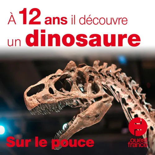 19 octobre 2020 - À 12 ans, il découvre un dinosaure