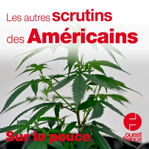 5 novembre 2020 - Les autres scrutins des Américains