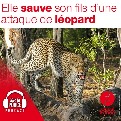 9 décembre 2021 - Elle sauve son fils d'une attaque de léopard