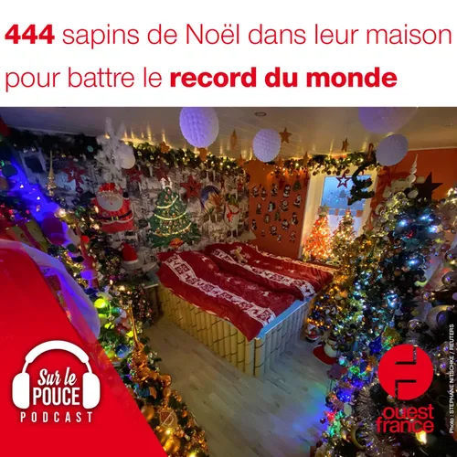 13 décembre 2021 - 444 sapins de Noël dans leur maison pour battre...