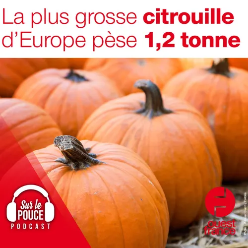 11 octobre 2021 - La plus grosse citrouille d'Europe pèse 1,2 tonne