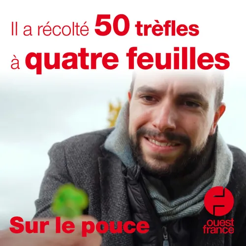 9 octobre 2020 - Il a récolté 50 trèfles à quatre feuilles