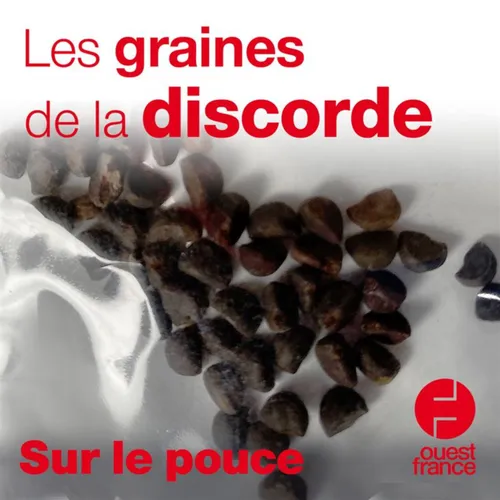 27 juillet 2020 - Les graines de la discorde