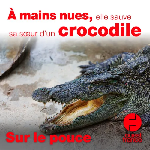 11 juin 2021 - À mains nues, elle sauve sa sœur d'un crocodile