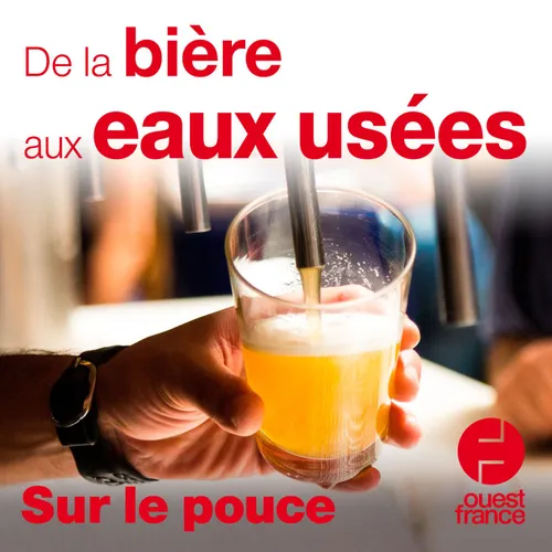 20 août 2020 - De la bière aux eaux usées