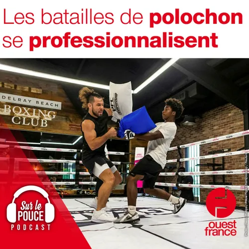 22 novembre 2021 - Les batailles de polochon se professionnalisent
