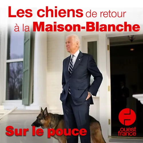 10 novembre 2020 - Les chiens de retour à la maison blanche