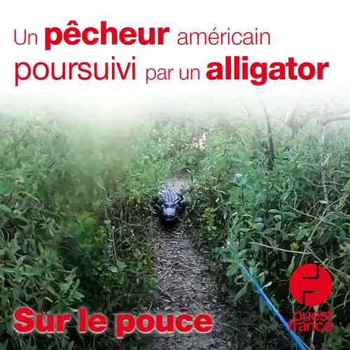 12 mai 2021 - Un pêcheur américain poursuivi par un alligator