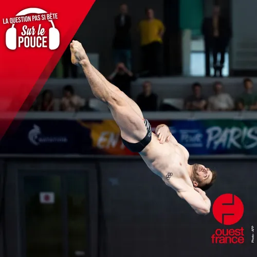 Pourquoi les plongeurs prennent-ils une douche entre chaque saut ?